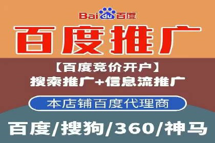 SEM推广策略：成功案例解析与效果评估